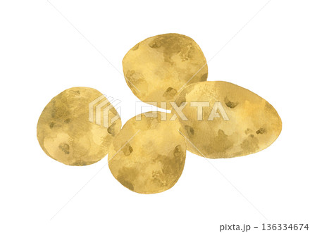 じゃがいものセット　野菜の手描き水彩イラスト素材 136334674
