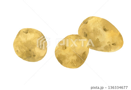 じゃがいものセット　野菜の手描き水彩イラスト素材 136334677