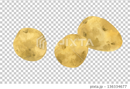 馬鈴薯套裝 - 手繪水彩蔬菜插圖 136334677