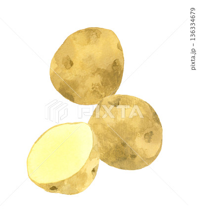 じゃがいものセット　野菜の手描き水彩イラスト素材 136334679
