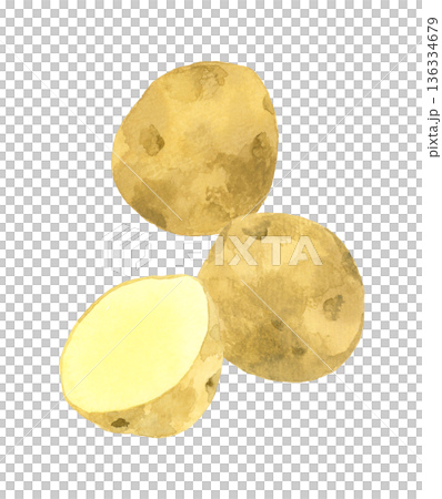 じゃがいものセット　野菜の手描き水彩イラスト素材 136334679