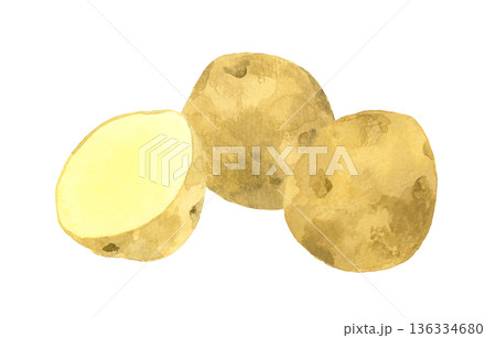 じゃがいものセット 野菜の手描き水彩イラスト素材 じゃがいものセット 野菜の手描き水彩イラスト素材 136334680