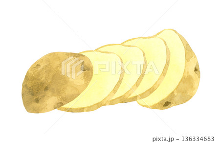 カットしたじゃがいも（スライス・輪切り）　野菜の手描き水彩イラスト素材 136334683