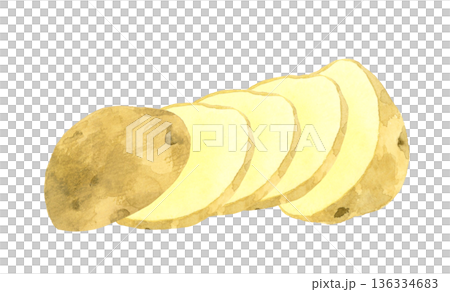 Cut potatoes (sliced/round slices) Hand-drawn watercolor illustration of vegetables Cut potatoes (sliced/round slices) Hand-drawn watercolor illustration of vegetables 136334683