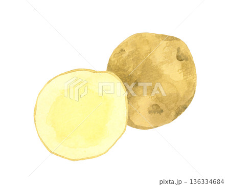 半分にカットしたじゃがいも　野菜の手描き水彩イラスト素材 136334684