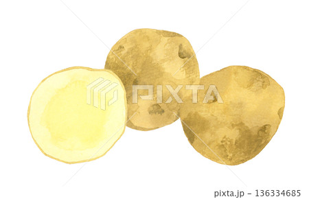 じゃがいものセット　野菜の手描き水彩イラスト素材 136334685