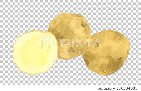 Potato set - Hand-drawn watercolor illustration of vegetables 136334685