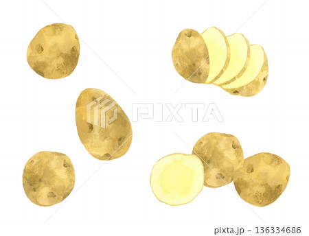 じゃがいものセット　野菜の手描き水彩イラスト素材 136334686