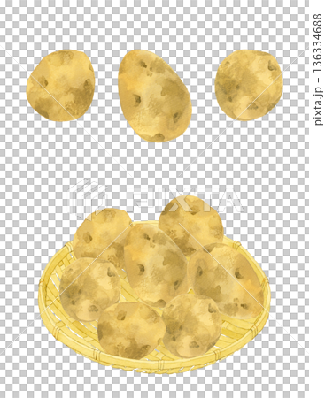 Potatoes on a bamboo basket - hand-drawn watercolor illustration of vegetables 136334688