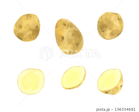 じゃがいものセット　野菜の手描き水彩イラスト素材 136334691