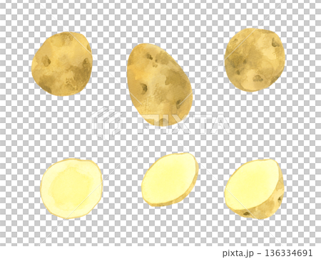 じゃがいものセット　野菜の手描き水彩イラスト素材 136334691