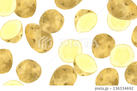 フレッシュなじゃがいもの背景 手描き水彩イラスト素材 フレッシュなじゃがいもの背景 手描き水彩イラスト素材 136334692