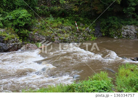 増水した川と水位計が見える自然の風景 増水した川と水位計が見える自然の風景 136334757