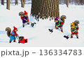 リスたちの雪かき 136334783