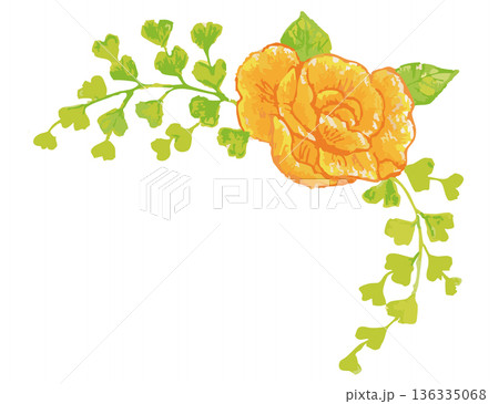 バラのイラスト素材。ベクターイラスト素材 バラのイラスト素材。ベクターイラスト素材 136335068