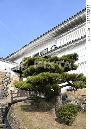 日本の伝統美・姫路城の城郭建築と手前に佇む松の木 日本の伝統美・姫路城の城郭建築と手前に佇む松の木 136335233