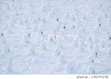 横手かまくら祭り ミニかまくら 横手かまくら祭り ミニかまくら 136335240