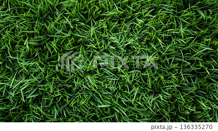 鮮やかな緑が美しい整った芝生の自然テクスチャ背景 136335270