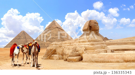 Camels, Great Sphinx and pyramids of Chephren and Cheops, Cairo, Egypt. Great Pyramids and statue of Sphinx, Giza complex. Topic of summer vacation, travel, trip abroad on vacation, cruises and tours Camels, Great Sphinx and pyramids of Chephren and Cheops, Cairo, Egypt. Great Pyramids and statue of Sphinx, Giza complex. Topic of summer vacation, travel, trip abroad on vacation, cruises and tours 136335343