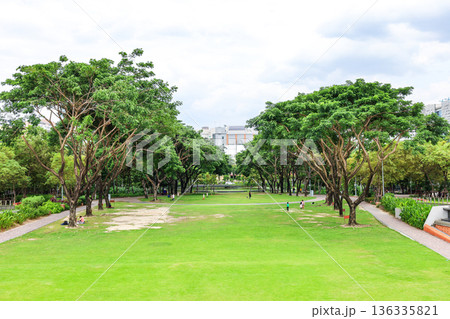 緑のある都会の公園の風景 緑のある都会の公園の風景 136335821