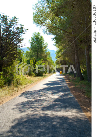 A lone figure walks down a sun-dappled asphalt road lined with tall pine trees and lush Mediterranean vegetation A lone figure walks down a sun-dappled asphalt road lined with tall pine trees and lush Mediterranean vegetation 136336107