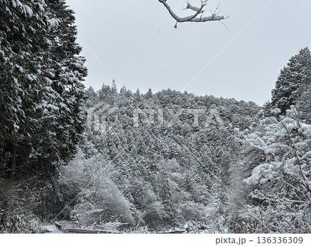 雪に覆われた山 136336309