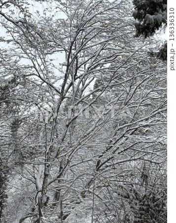 雪に覆われた山 雪に覆われた山 136336310