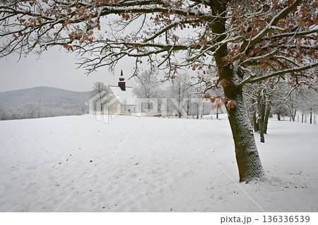 Winter landscape with a beautiful chapel near castle Veveri. Czech Republic city of Brno. The Chapel of the Mother of God. Winter landscape with a beautiful chapel near castle Veveri. Czech Republic city of Brno. The Chapel of the Mother of God. 136336539