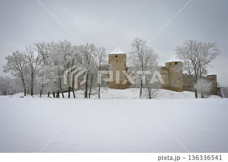 The beautiful old castle of Veveri Brno, Czech Republic. Winter landscape with snow and nature surrounding the castle. The beautiful old castle of Veveri Brno, Czech Republic. Winter landscape with snow and nature surrounding the castle. 136336541