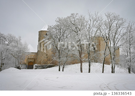 The beautiful old castle of Veveri Brno, Czech Republic. Winter landscape with snow and nature surrounding the castle. 136336543