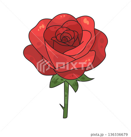 Illustration of rose 136336679
