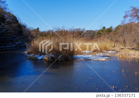 残雪の三宝寺池 136337171