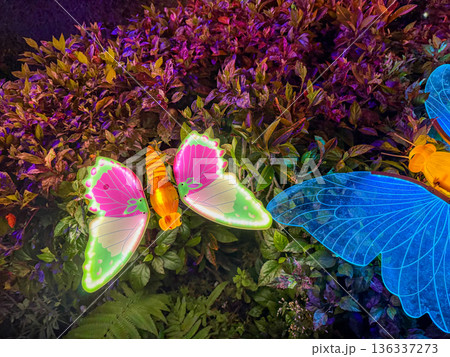 Glowing Butterfly Light Installation In Tropical Garden At Night 136337273