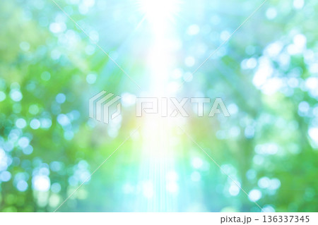 ぼけた緑のバックグラウンド 136337345
