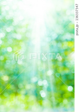 ぼけた緑のバックグラウンド 136337347