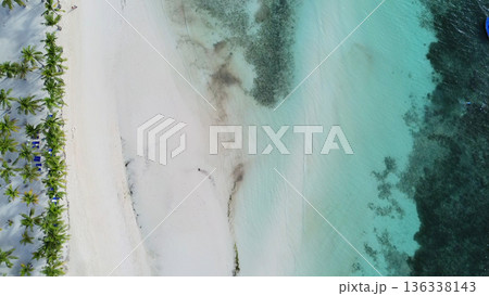 Tropical beach with white sand and palm trees Tropical beach with white sand and palm trees 136338143
