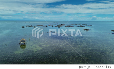 Fish farm with cages for fish and shrimp 136338145