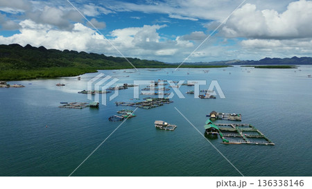 Fish farm with cages for fish and shrimp 136338146