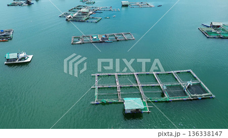 Fish farm with cages for fish and shrimp 136338147