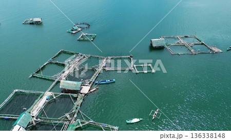 Fish farm with cages for fish and shrimp Fish farm with cages for fish and shrimp 136338148