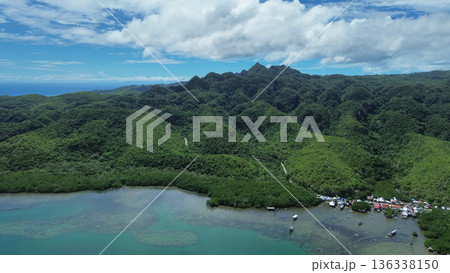 Mangrove sea landscape in tropical coastal region Mangrove sea landscape in tropical coastal region 136338150