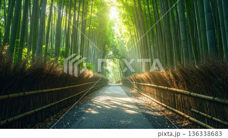 京都・嵐山の竹林の小径 木漏れ日が差し込む美しい竹垣の道 京都・嵐山の竹林の小径 木漏れ日が差し込む美しい竹垣の道 136338683