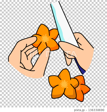 Illustration of carrot slicing | Cooking and cooking process Illustration of carrot slicing | Cooking and cooking process 136338690
