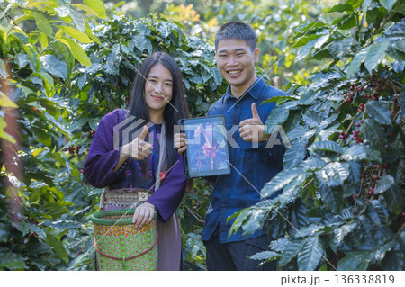 Farmer inspect and picking coffee beans on the coffee tree Farmer inspect and picking coffee beans on the coffee tree 136338819