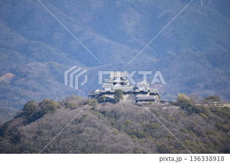 松山総合公園展望塔からの松山城全景アップ 松山総合公園展望塔からの松山城全景アップ 136338918
