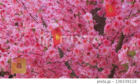 Chinese new year decoration peach flowers Chinese new year decoration peach flowers 136339118