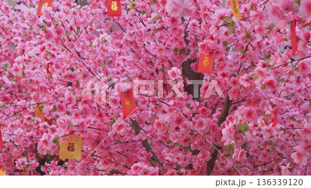 Chinese new year decoration peach flowers 136339120