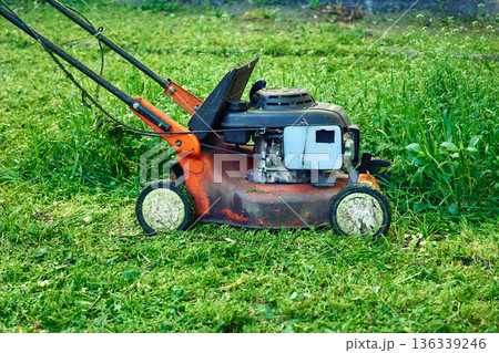 Landscaping.Professional grass cutting on lawns with handle mower 136339246