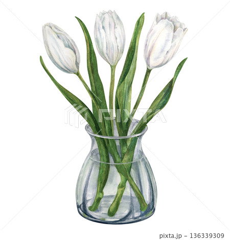Bouquet of watercolor white tulips with green leaves in a transparent glass vase. Spring flowers for weddings, birthdays, Valentine's Day, Mother's Day, invitation, greeting card, summer, spring decor Bouquet of watercolor white tulips with green leaves in a transparent glass vase. Spring flowers for weddings, birthdays, Valentine's Day, Mother's Day, invitation, greeting card, summer, spring decor 136339309