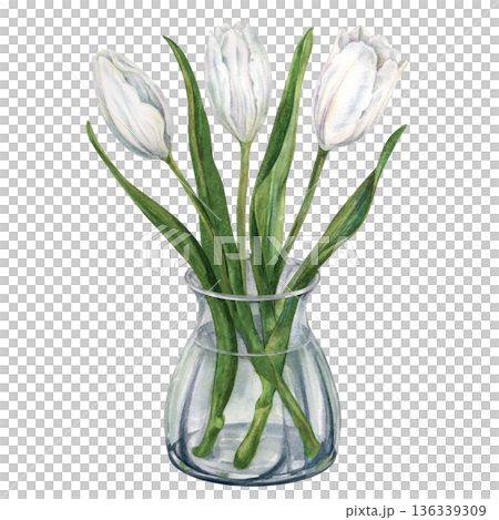 Bouquet of watercolor white tulips with green leaves in a transparent glass vase. Spring flowers for weddings, birthdays, Valentine's Day, Mother's Day, invitation, greeting card, summer, spring decor Bouquet of watercolor white tulips with green leaves in a transparent glass vase. Spring flowers for weddings, birthdays, Valentine's Day, Mother's Day, invitation, greeting card, summer, spring decor 136339309